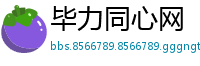 毕力同心网